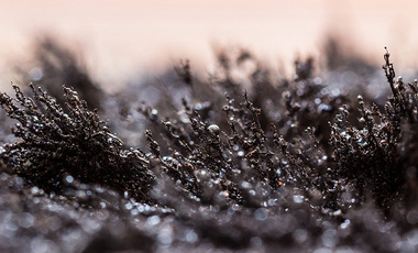 shutterstock_779777200-Intense macro landscape shot of iron powder magnetized.jpg