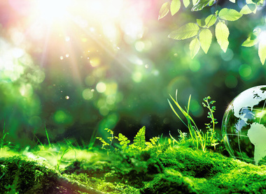 shutterstock_2285503199---Sustainability-courses-landing-page-WEB.jpg