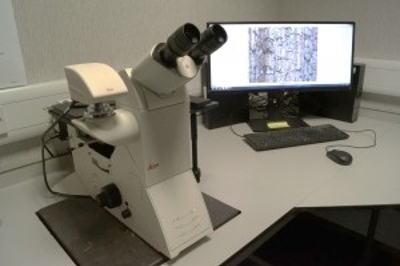 Leica DMi8 optical microscope