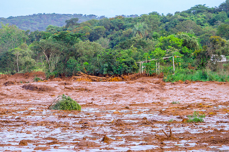 IOM3  Study sheds light on Feijão dam failure