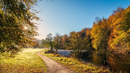 river-wharfe-g81a1f8a36_1280.jpg