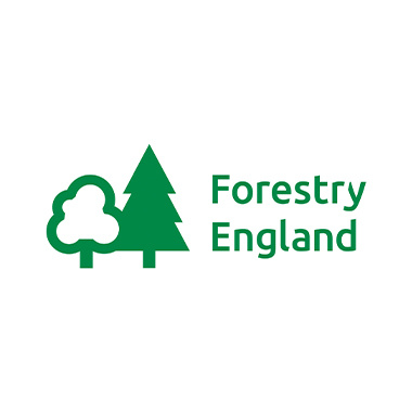 forestry england 380x380.jpg