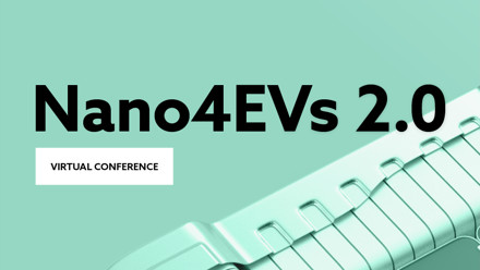 Nano4EVs 2.0, Website Image.jpg