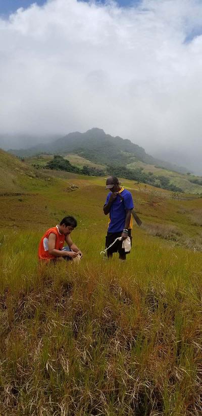 Geological mapping at the Fiji site